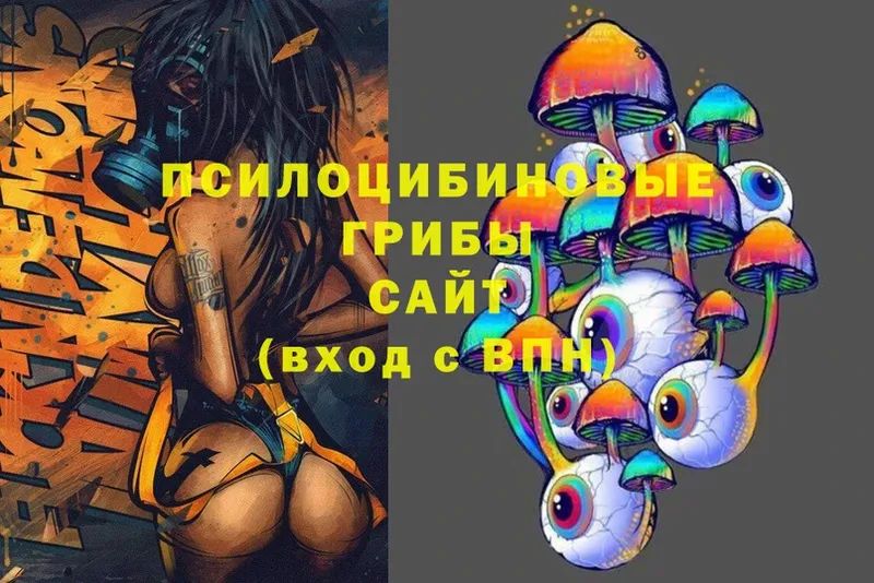 Галлюциногенные грибы Magic Shrooms  Отрадная 